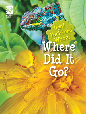 cover image of Where Did It Go?